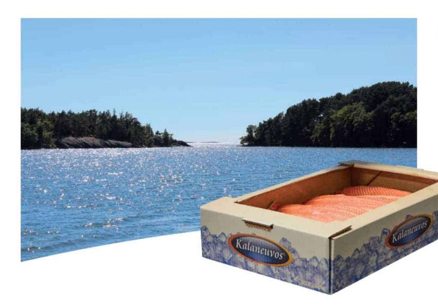 cooling box for fish finland Seadra Bait Cool 18L With Tray And Carry Strap – The Angling Hub Keep your food and drinks fresh and chilled during medium to large sized group events China Cheap High Quality Fish