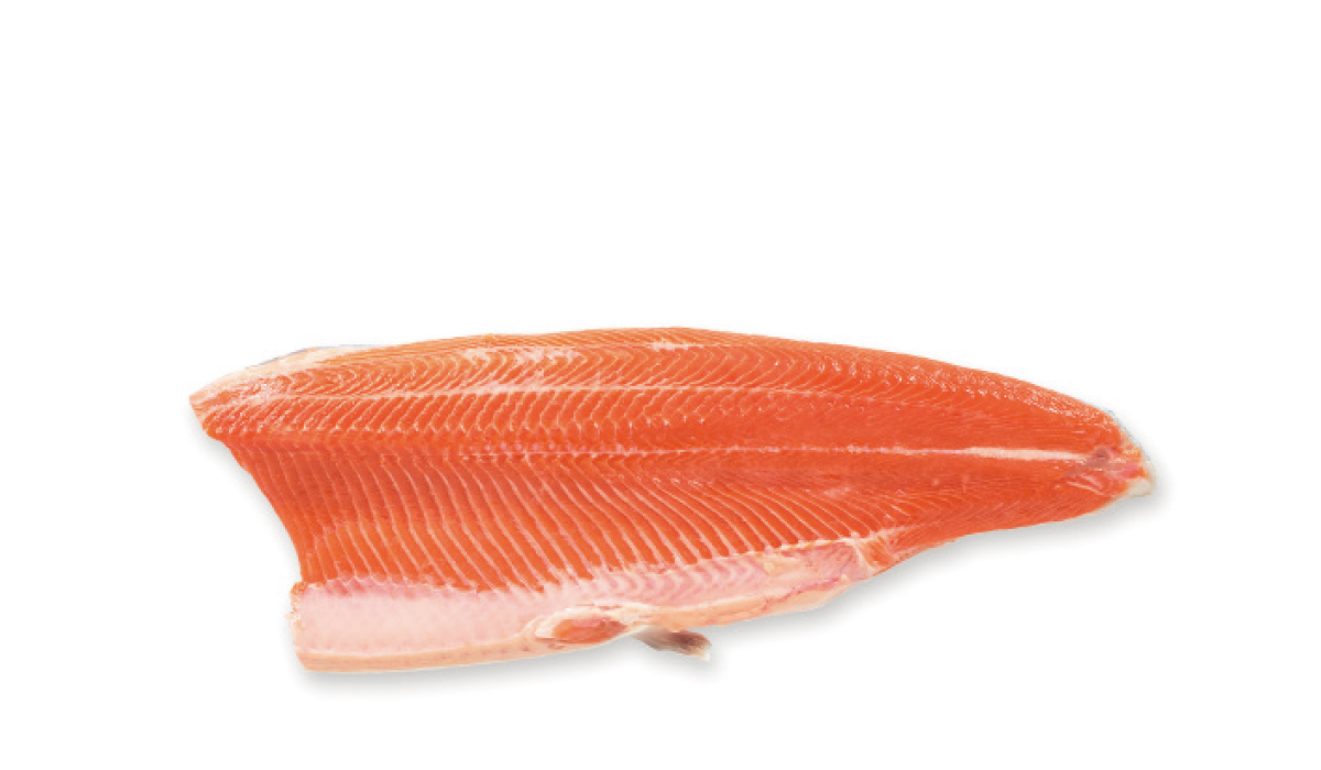 Trout fillet TRIM-A